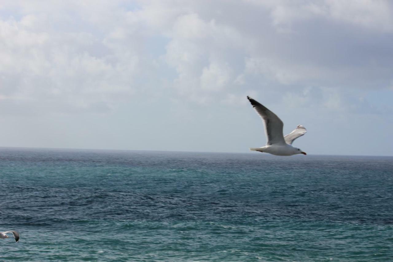 Acogedor Apartamento Con Vista Al Mar Tacoronte Bagian luar foto